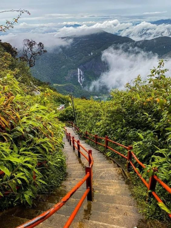 Coastal View